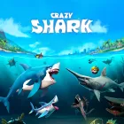 Play Crazy Shark